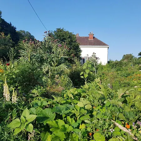 Bed & Breakfast Les Lupins