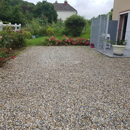 Les Lupins Étretat