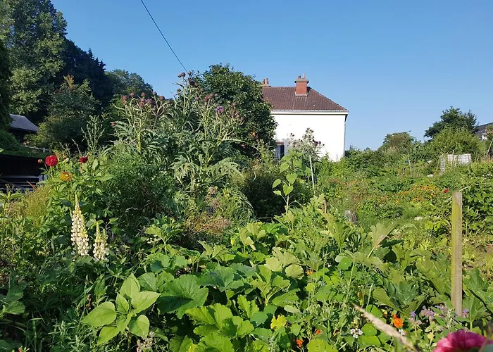 Bed & Breakfast Les Lupins