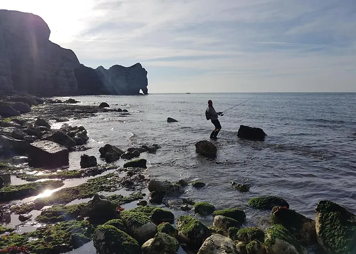 Bed & Breakfast Les Lupins Étretat